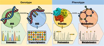 Editorial: Exploring metabolic-based host-pathogen interactions